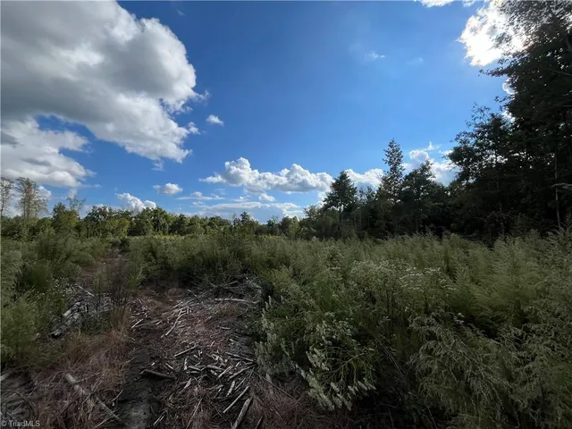 $1,500,000 | 11630 Highway 158, Reidsville, NC 27320