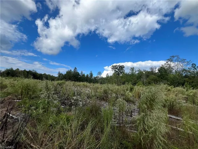 $1,500,000 | 11630 Highway 158, Reidsville, NC 27320