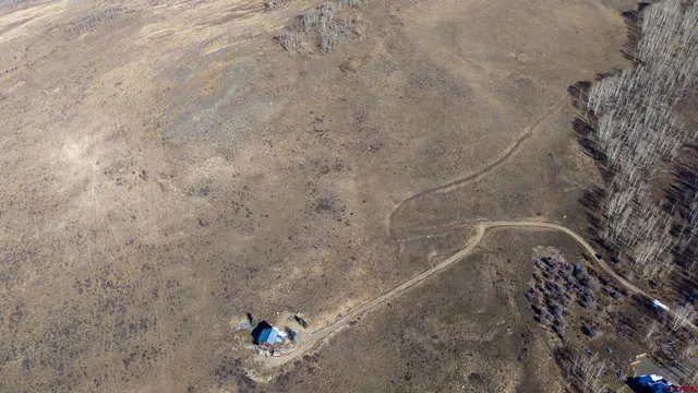 a view of a yard with a tree