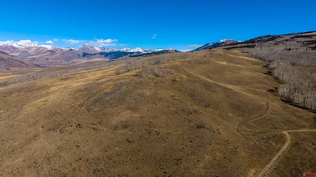 a view of a dry yard