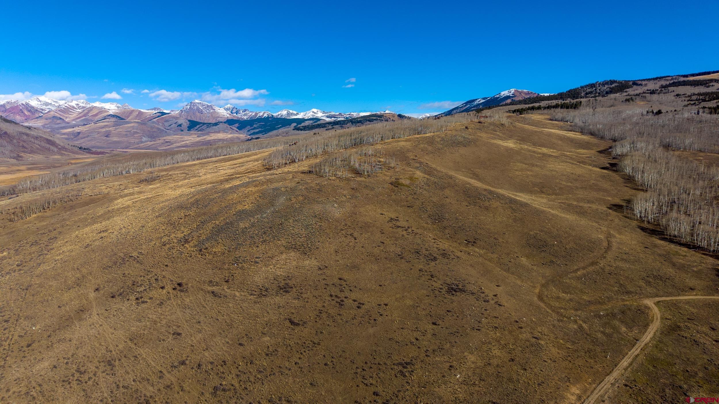 996 Lower Highlands Road Crested Butte, CO 81224 - Photo 15 of 20 a view of a yard with a tree