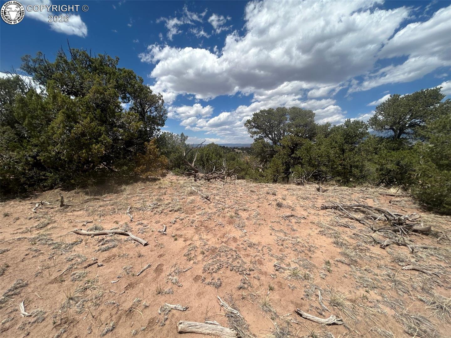 530 County Road Walsenburg, CO 81089 - Photo 10 of 12 Gallery Image 10