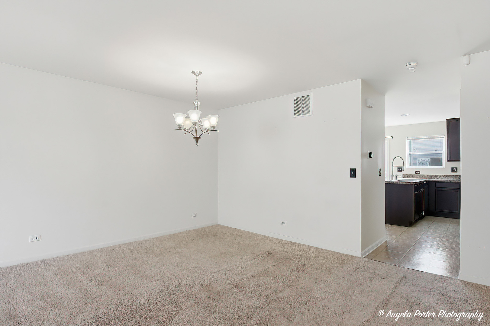 593 Treble Lane Volo, IL 60073 - Photo 5 of 27