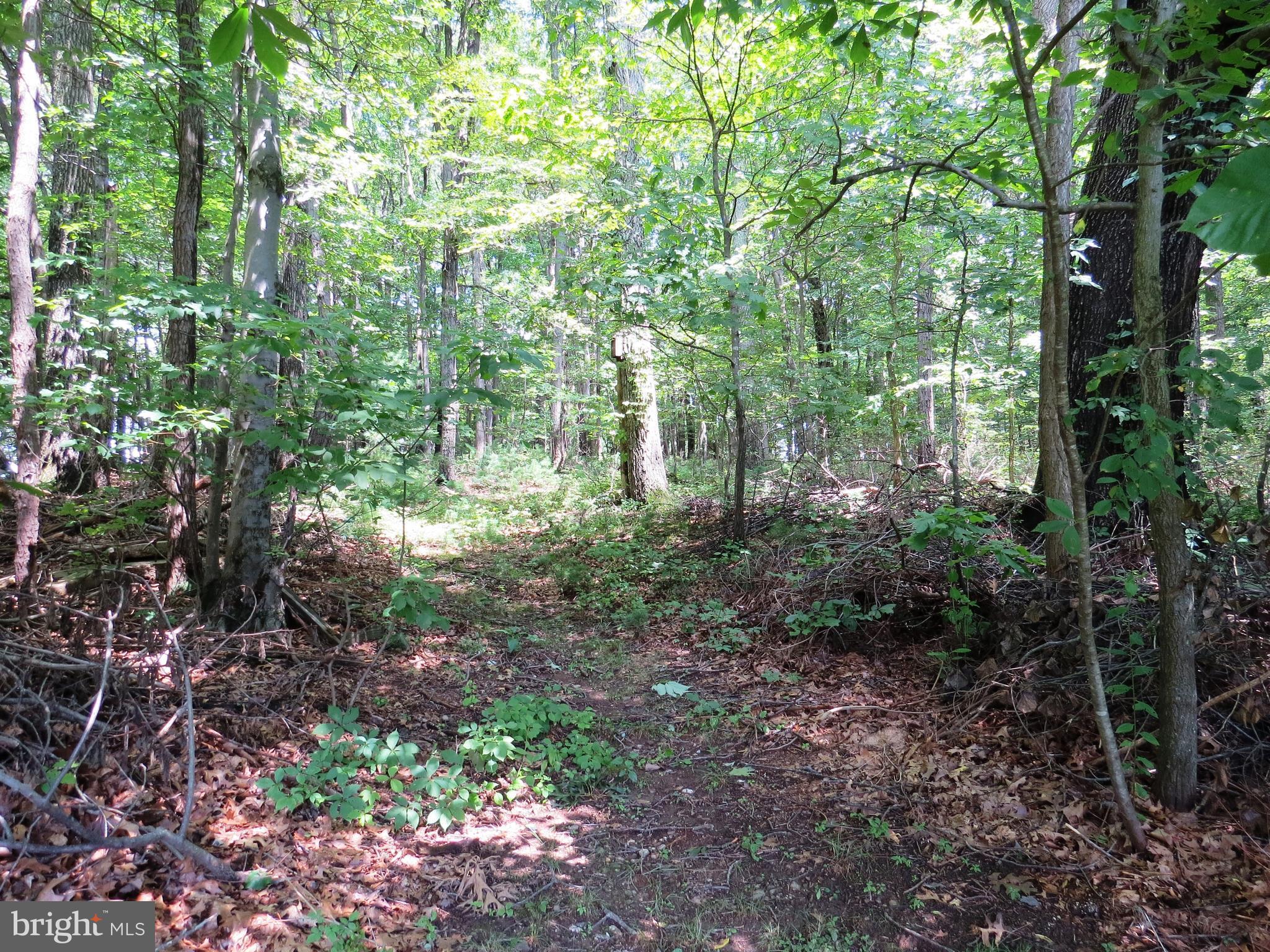 3165 Falls Road Hampstead, MD 21074 - Photo 29 of 30 a view of outdoor space and green space