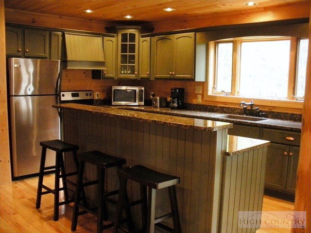 1036 Buckeye Ridge Road Beech Mountain, NC 28604 - Photo 2 of 24 Gallery Image 2