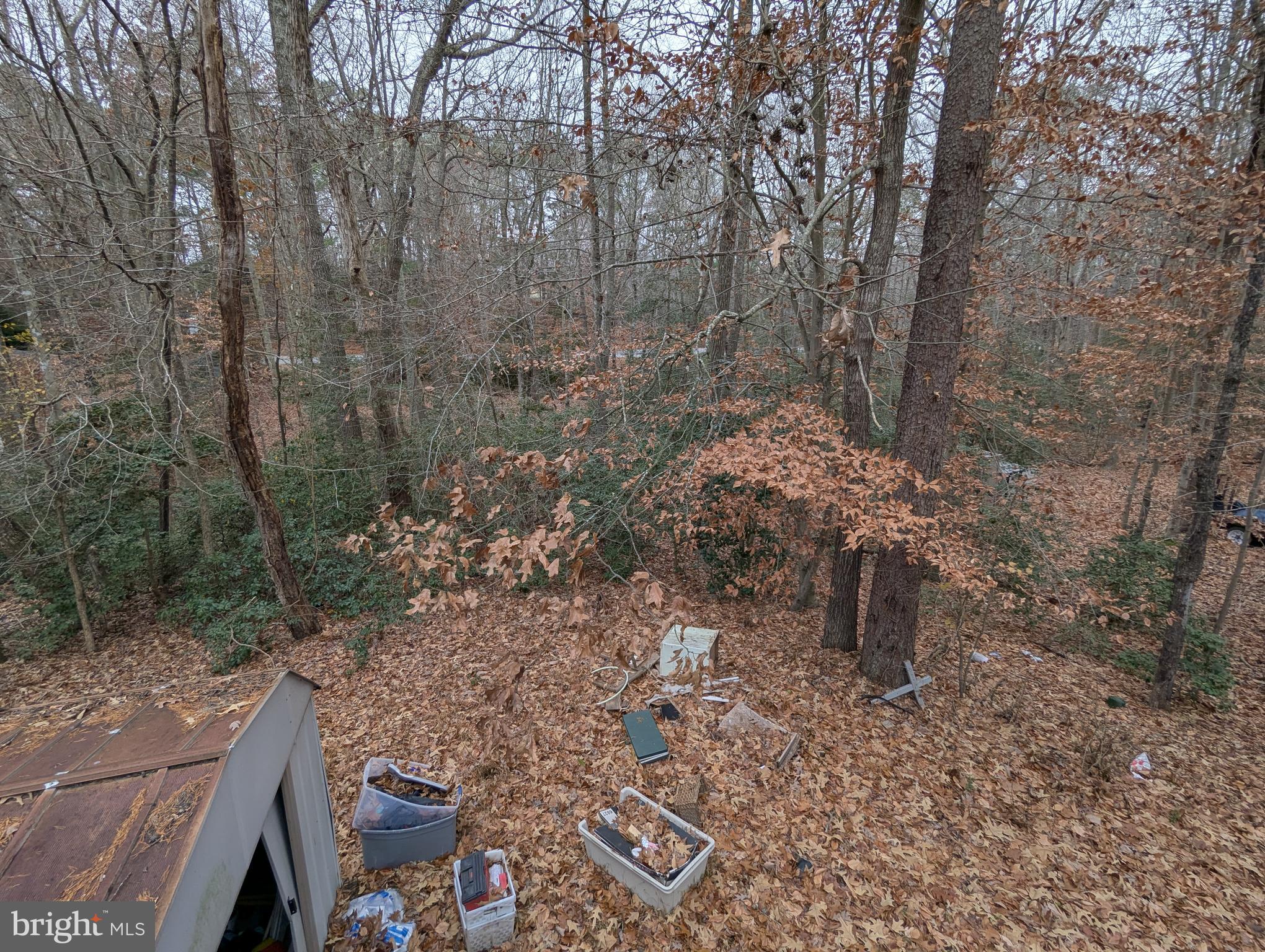 12427 Seminole Road Lusby, MD 20657 - Photo 7 of 22