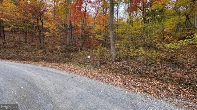 a view of a yard with trees