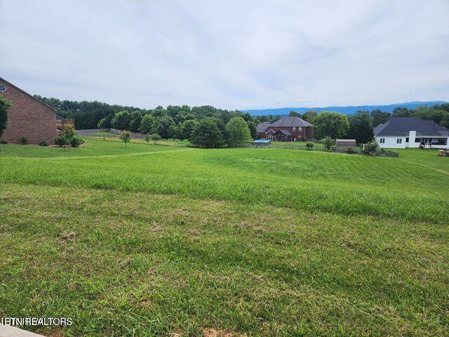 1174 Houston Springs Road Greenback, TN 37742 - Photo 3 of 6 From Road in front of Lot