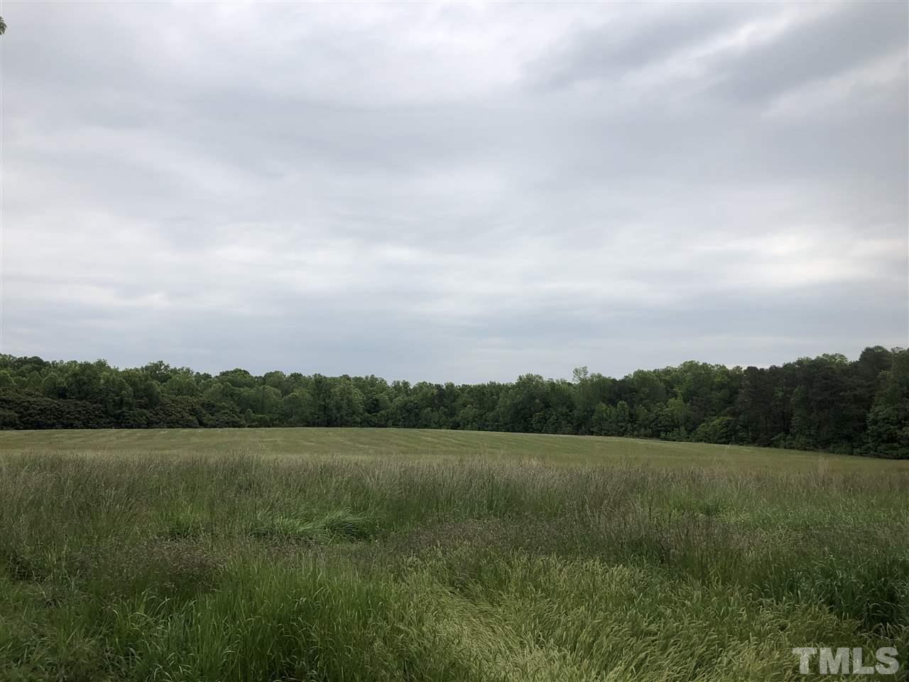 8600 McKee Road Rougemont, NC 27572 - Photo 10 of 11 a view of a lake with a big yard