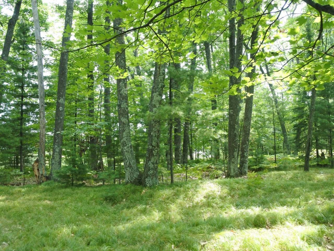 Lot A Egtvedt Road Woodruff, WI 54568 - Photo 13 of 30 Gallery Image 13