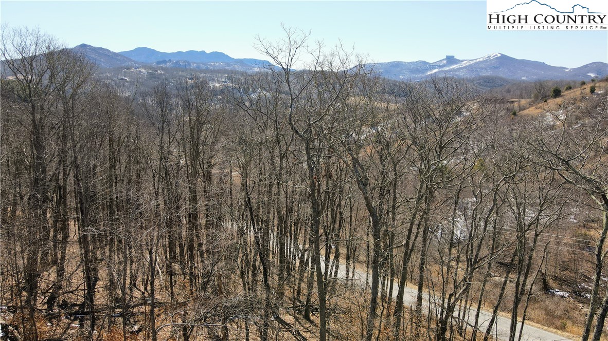 Lot 32 Shawnee Road Banner Elk, NC 28604 - Photo 4 of 21 a view of a dry field with mountains in the background