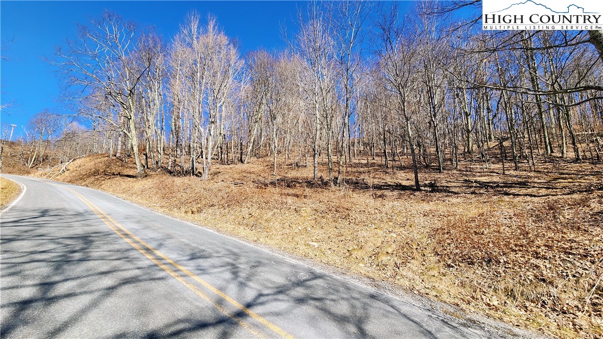 Lot 32 Shawnee Road Banner Elk, NC 28604 - Photo 8 of 21 a view of wooden fence and trees
