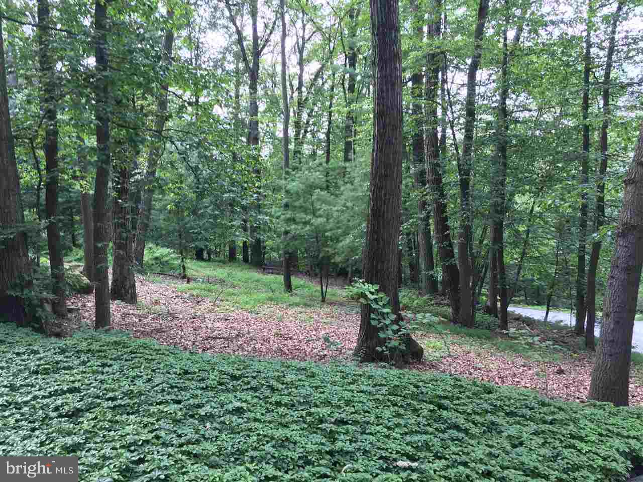 312 East Spring Street Lebanon, PA 17042 - Photo 12 of 12 Gallery Image 12