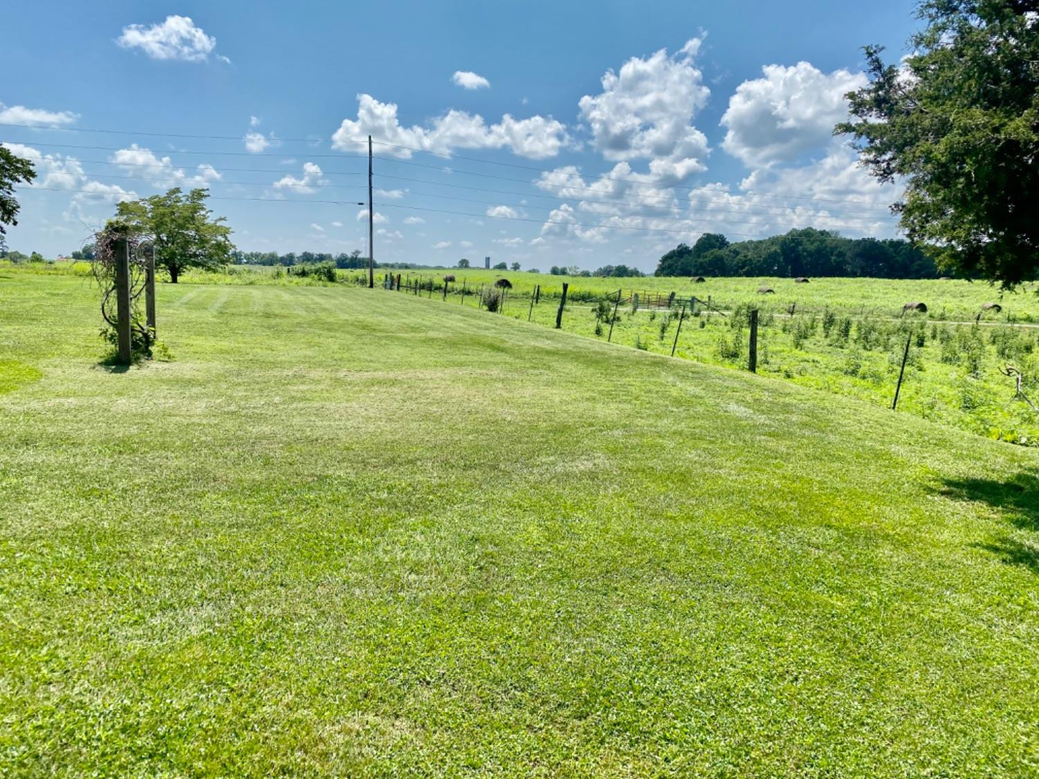 192 Old Smokey Road Brodhead, KY 40409 - Photo 12 of 40 Photo 12
