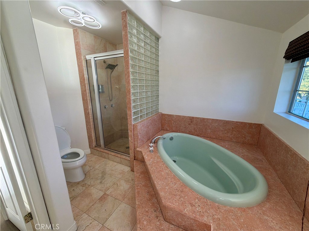 11932 Sonoma Way Porter Ranch, CA 91326 - Photo 40 of 63 primary soaking tub
