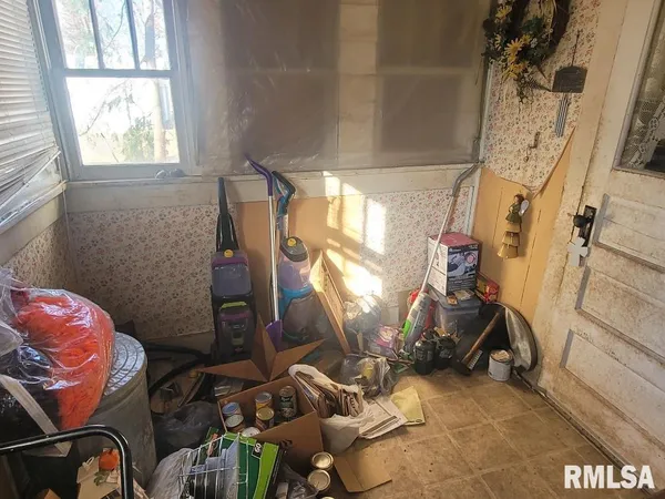 a room with lots of trees