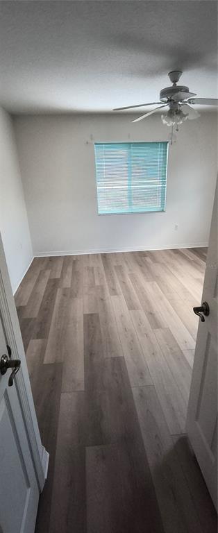 2959 Lobelia Road Venice, FL 34293 - Photo 9 of 12