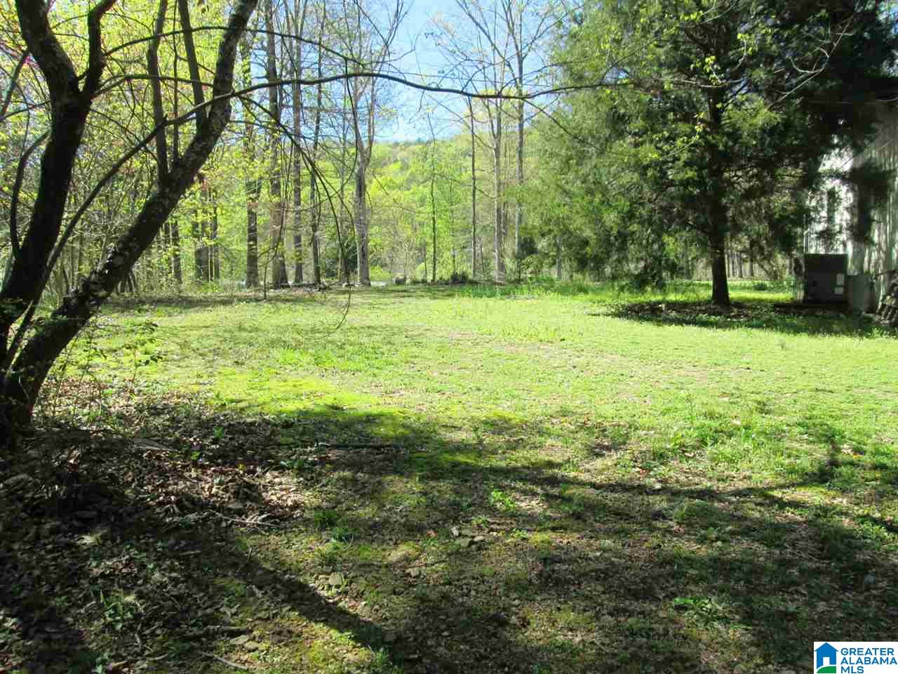 5550 Crawford Cove Road Steele, AL 35987 - Photo 12 of 36