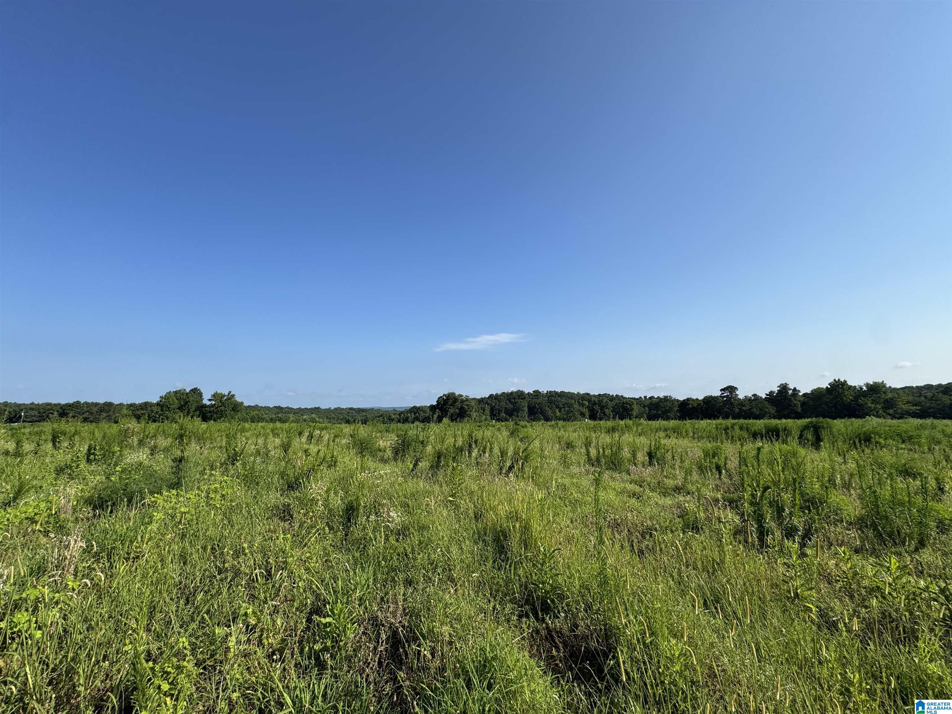 0 County Highway 27, Unit 47 Springville, AL 35146 - Photo 29 of 53
