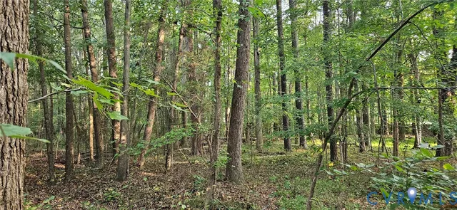 $100,000 | 3700 Peachtree Road, Colonial Heights, VA 23834