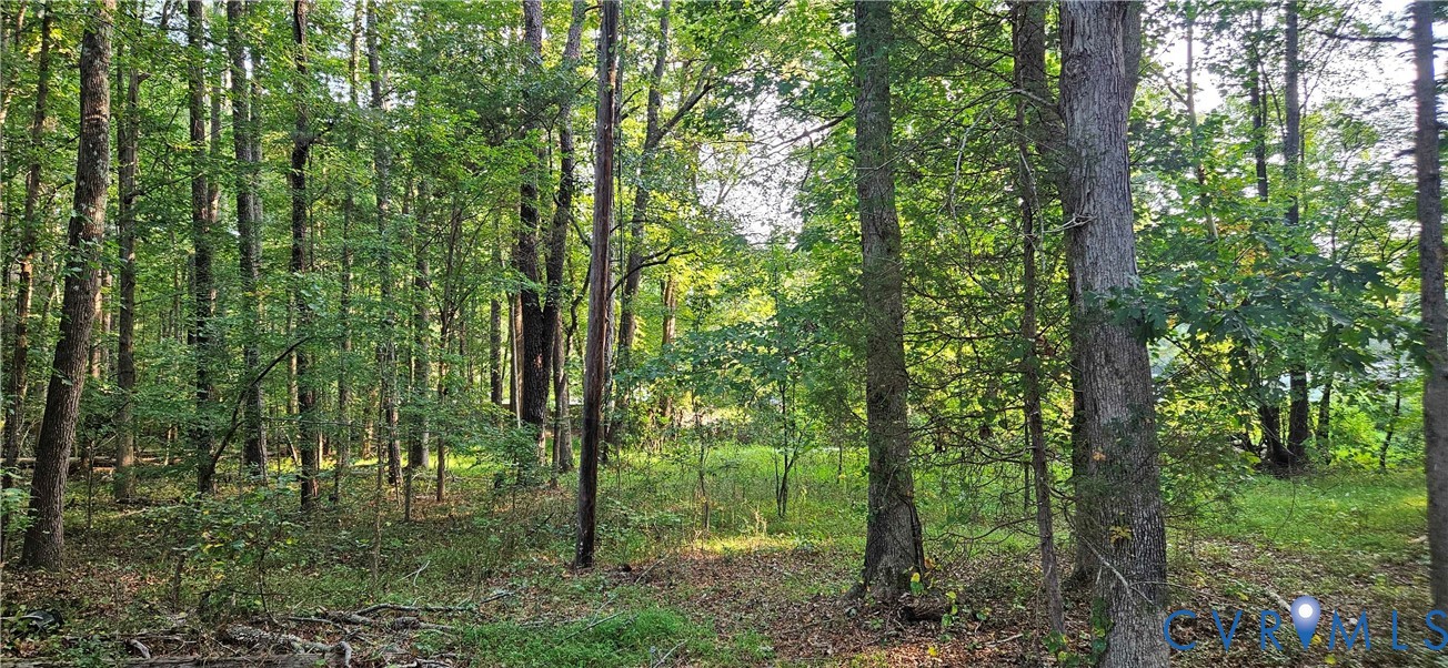 3700 Peachtree Road Colonial Heights, VA 23834 - Photo 2 of 2