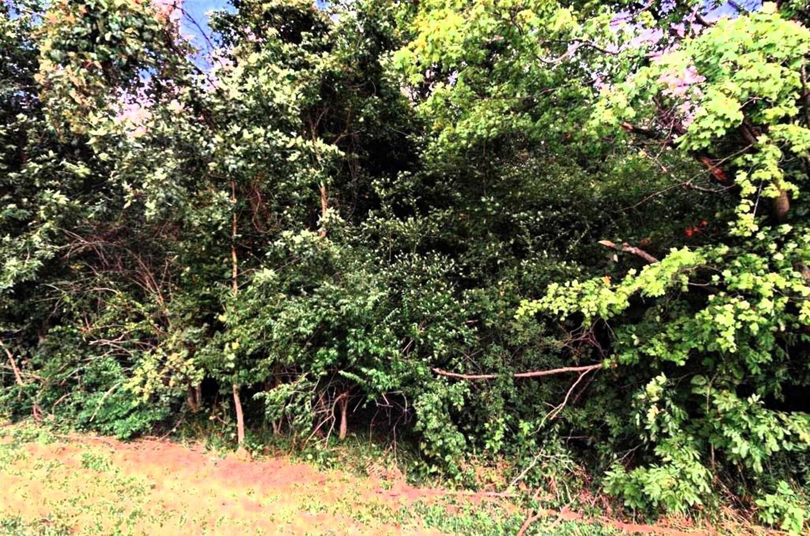 View of Property from Harlem Road