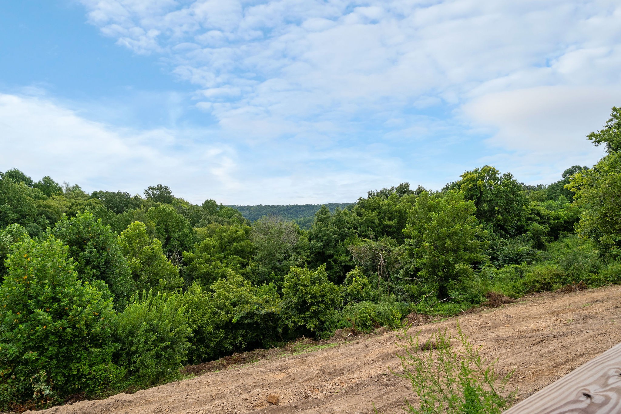 1124 Dale Ridge Road Dowelltown, TN 37059 - Photo 58 of 69 a view of a bunch of trees
