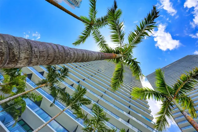 a view of a house with a palm tree