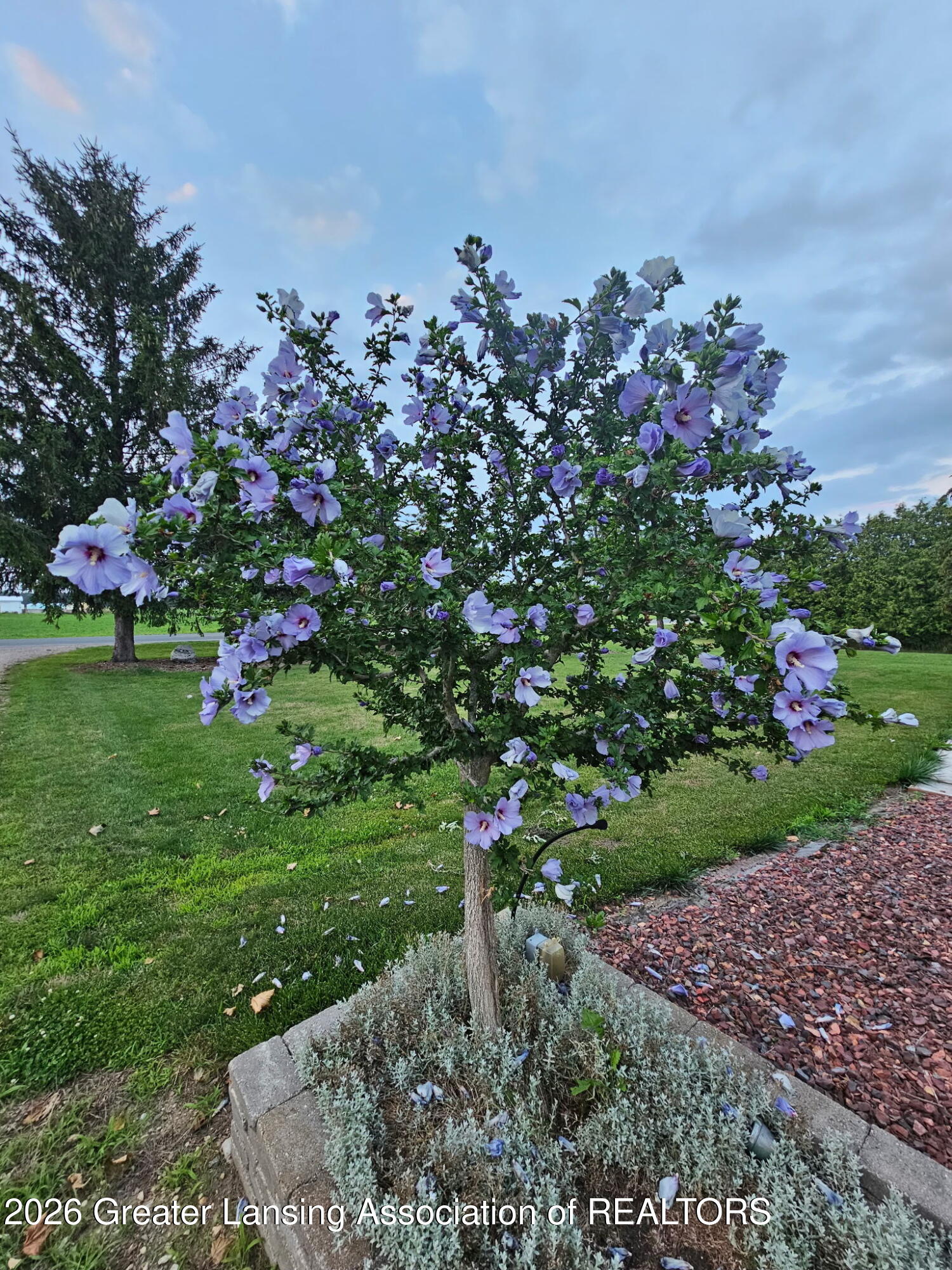 2426 East Colony Road St. Johns, MI 48879 - Photo 31 of 45 Blooming Landscape