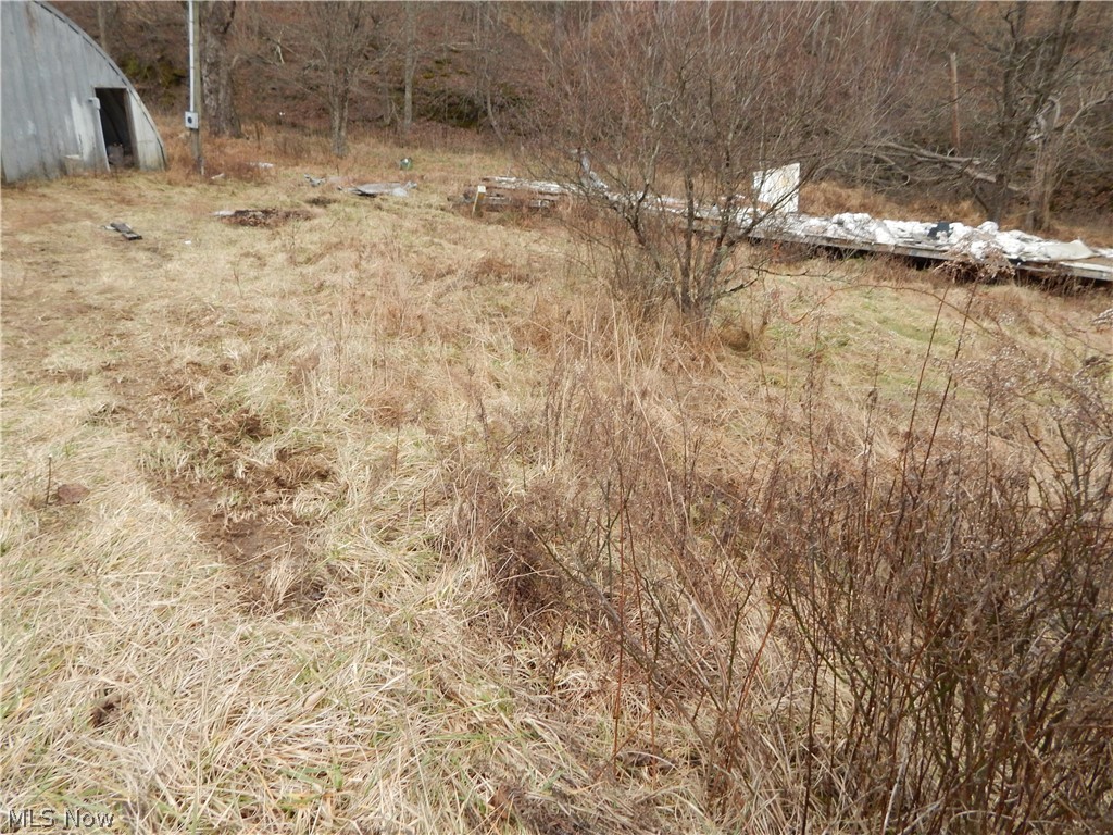 980 Hazelgreen Road Smithville, WV 26178 - Photo 6 of 7