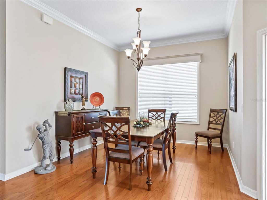 12255 Southeast 177th Loop Summerfield, FL 34491 - Photo 11 of 57