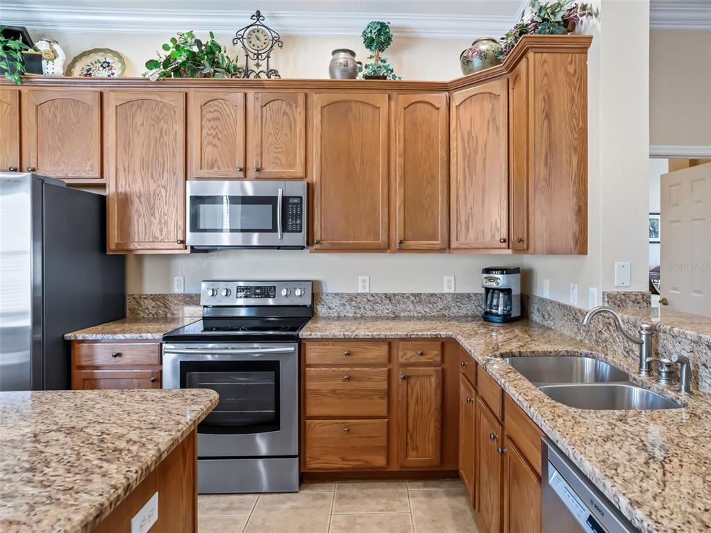 12255 Southeast 177th Loop Summerfield, FL 34491 - Photo 19 of 57