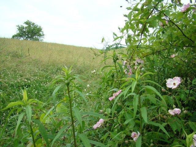 5283 Bybee Road Winchester, KY 40391 - Photo 39 of 55 Photo 39