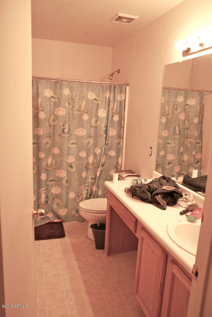 3749 South Chaparral Road Apache Junction, AZ 85119 - Photo 7 of 7 Guest bathroom