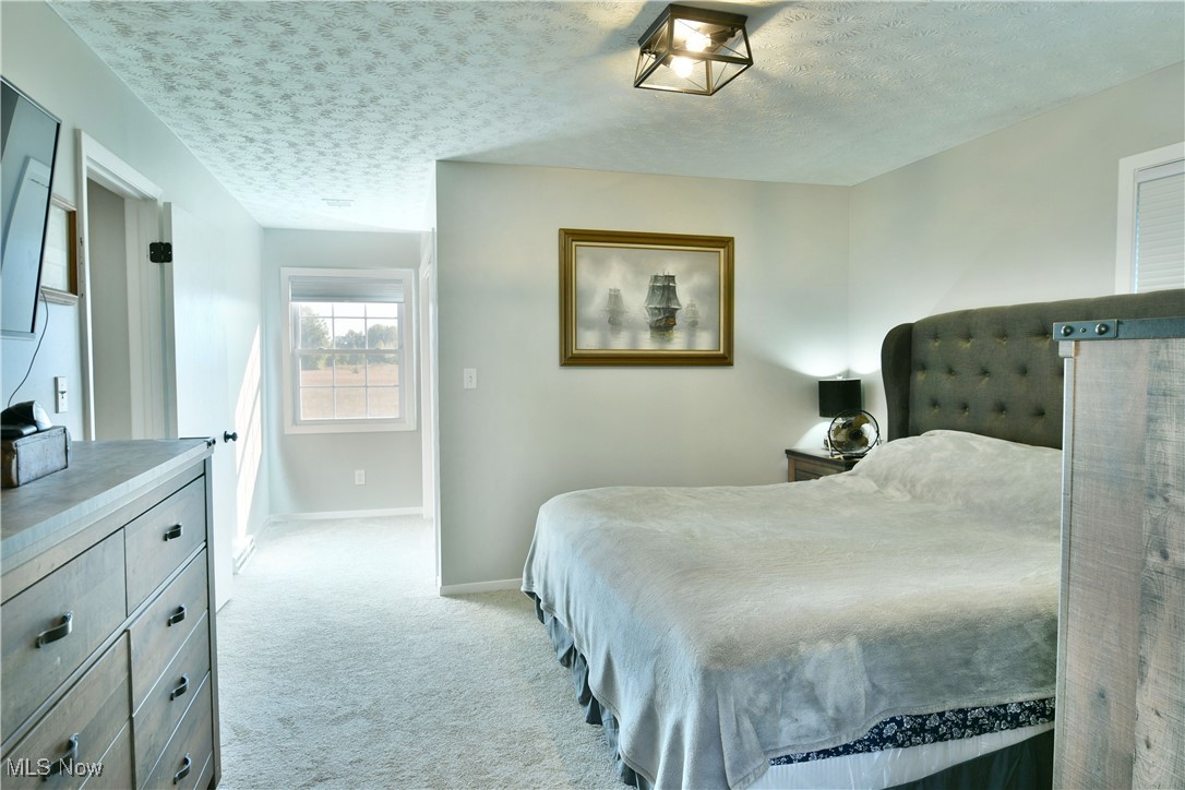 5558 Pierce Road Northwest Warren, OH 44481 - Photo 44 of 50 Bedroom featuring a textured ceiling and light colored carpet