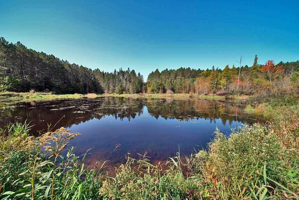 Lot 5.1 Off Ludlow Road Houlton, ME 04730 - Photo 36 of 43 tree-farm-pond-me-land