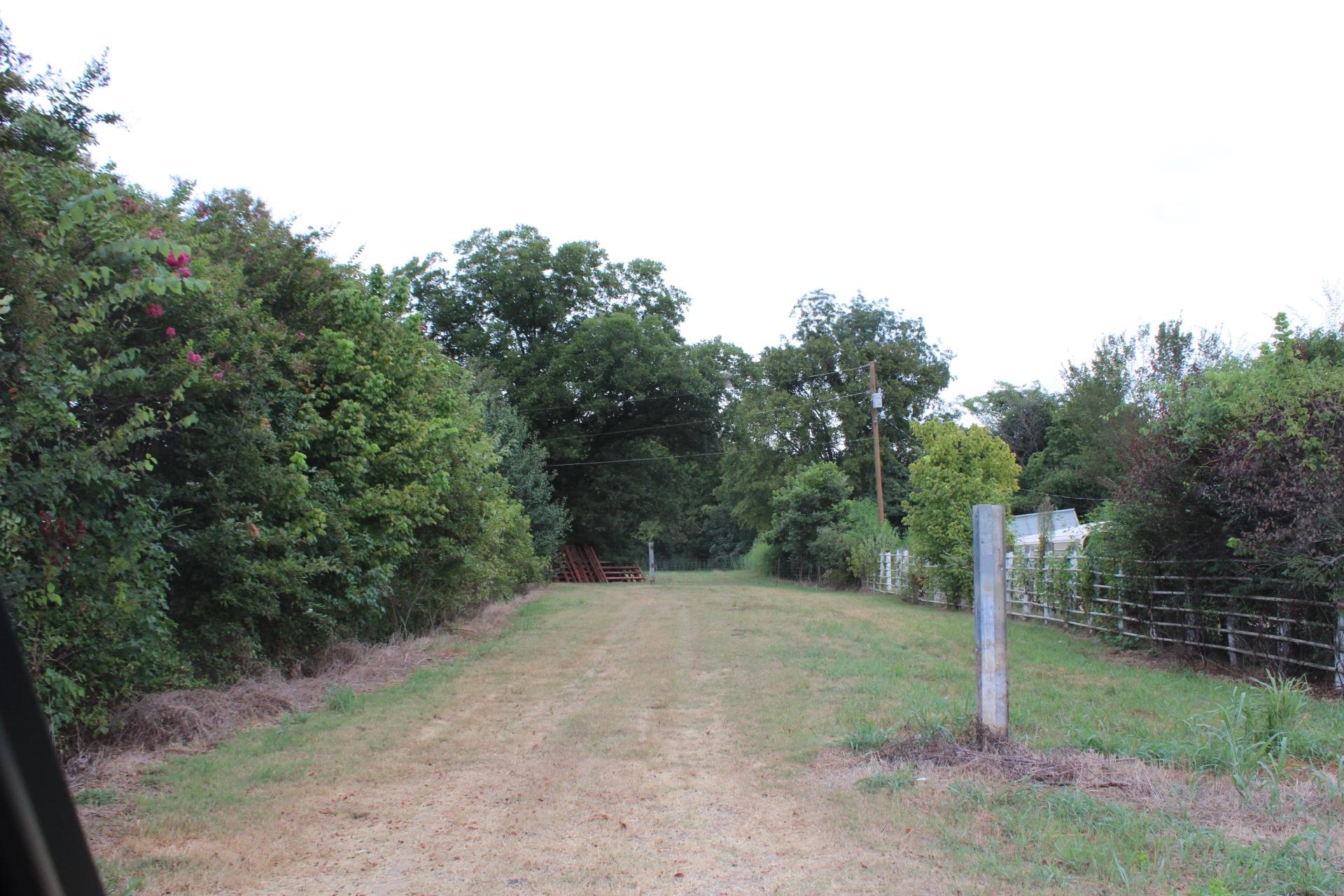 a view of a field with trees in the background