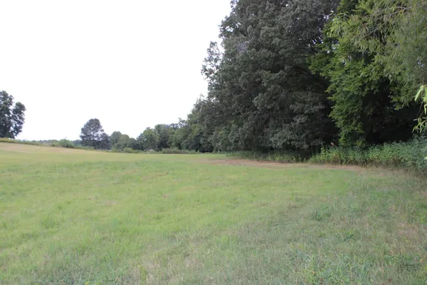 a view of a lake with a yard