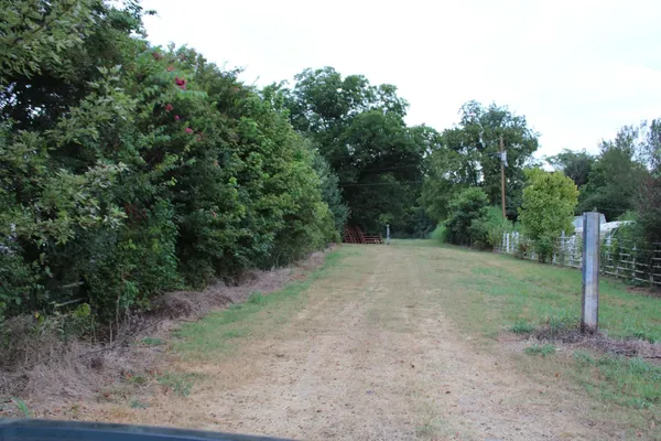 a view of a forest with trees in the background