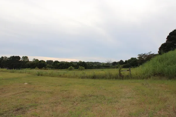 a view of a field with an ocean