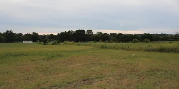 a view of a field with an ocean