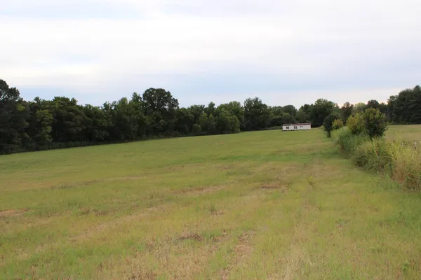 a view of a field with an ocean