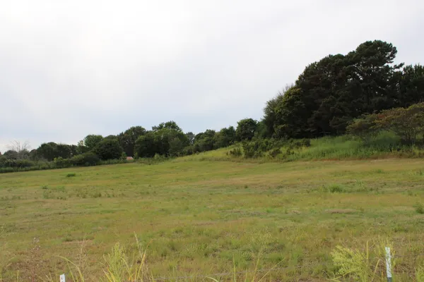 a view of a field with an ocean