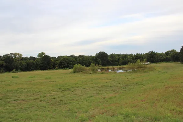 a view of a lake and mountain in the back
