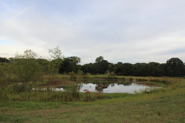 a view of a field with trees in the background