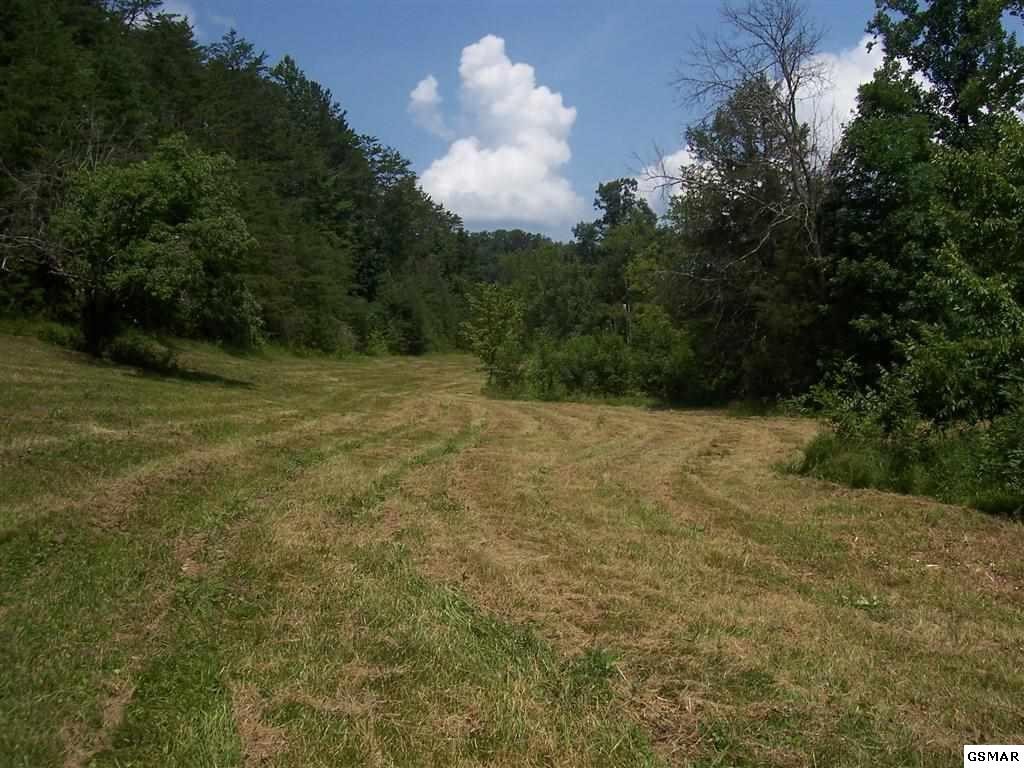 7 Mortar Road Sevierville, TN 37876 - Photo 4 of 6