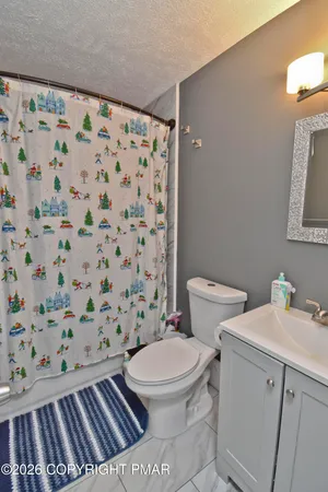 a white toilet sitting next to a sink a vanity and a shower curtain