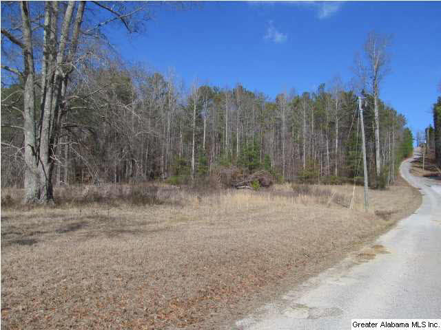 0 Signal Valley Trail Chelsea, AL 35043 - Photo 5 of 9