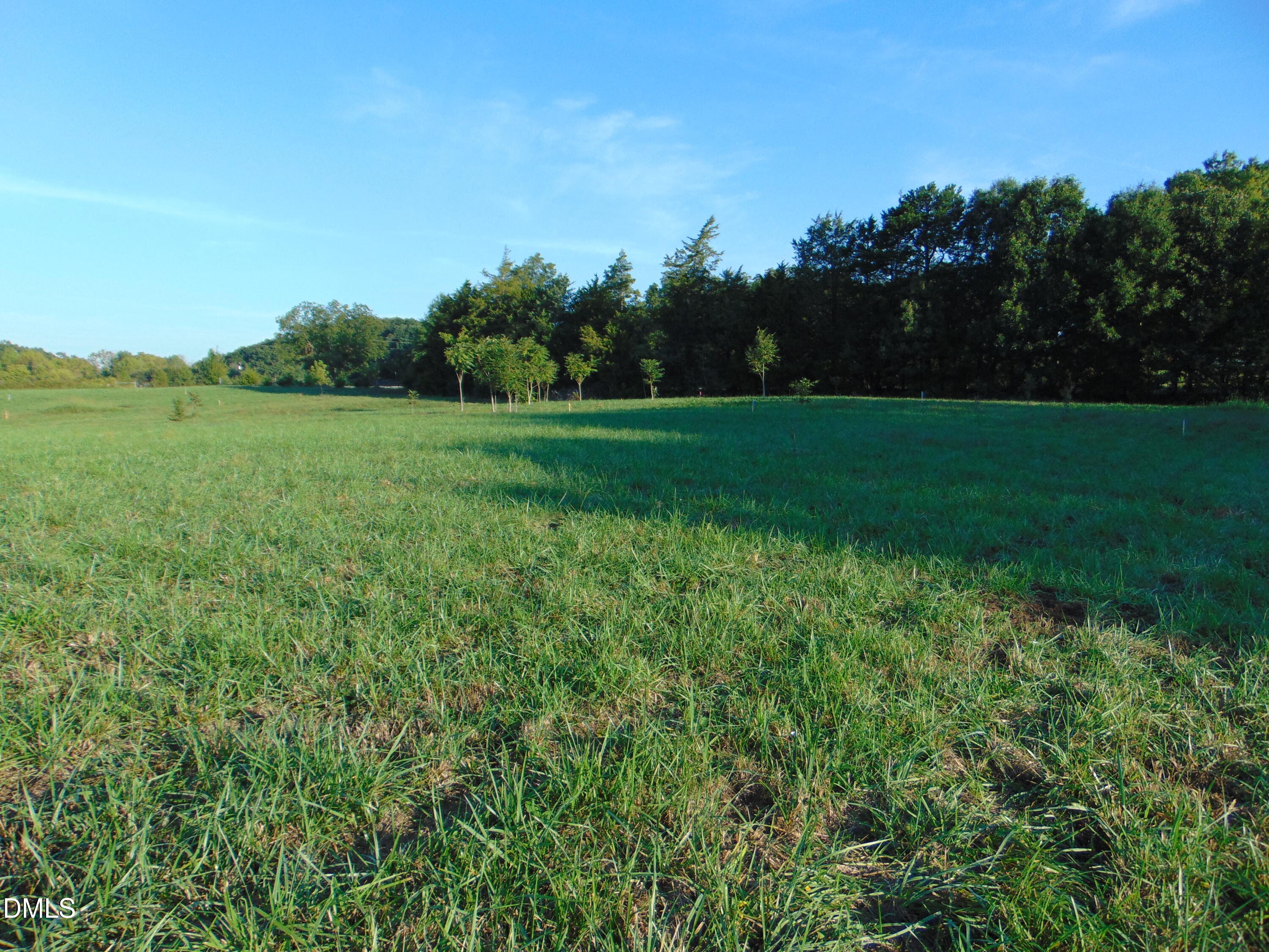 0 Files Road Blanch, NC 27212 - Photo 9 of 11 DSC01662