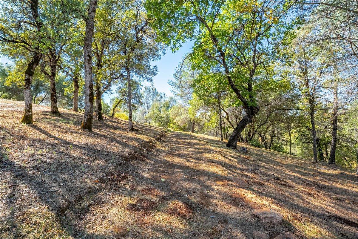 7155 Stewart Mine Road Placerville, CA 95667 - Photo 30 of 68 a view of empty space with trees